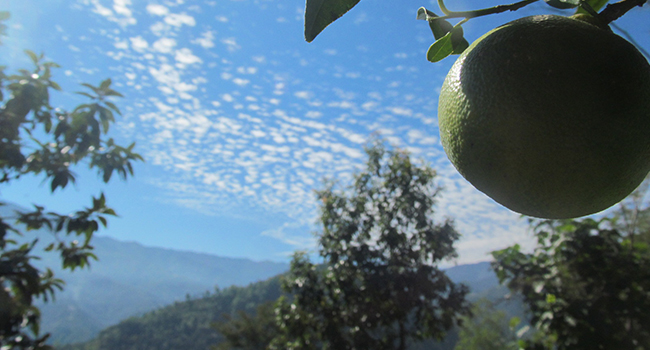 Homestay in Darjeeling- Homestay Listing Service- Darjeeling- Riverside homestays in Darjeeling